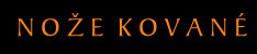 noe kovan